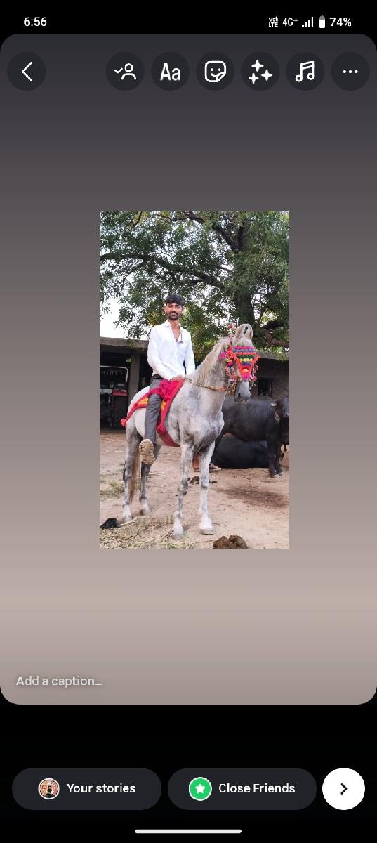 थंबनेल 3