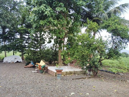 જમીન વેચવાની છે