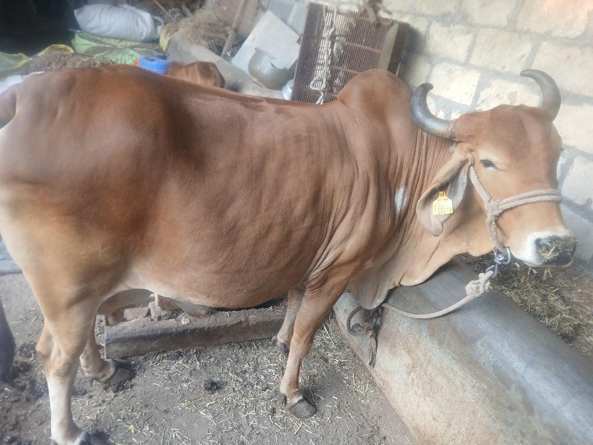 थंबनेल 3