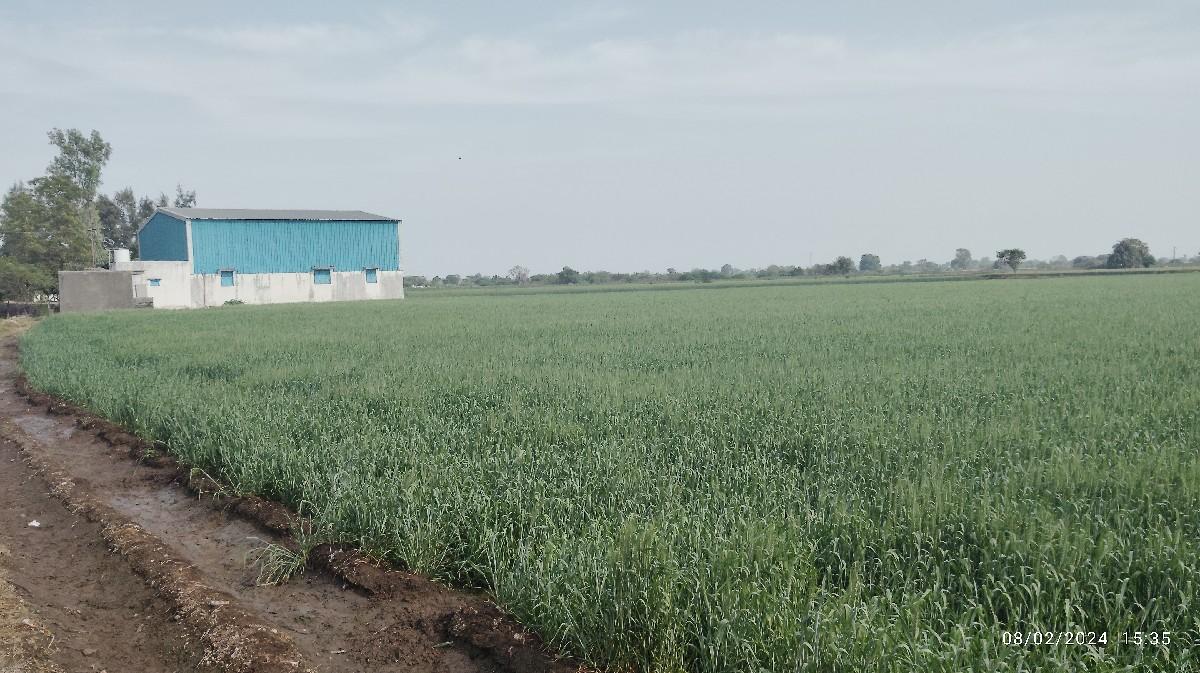 જમીન રોડ ટસ 13.5 વીઘા વેચવાની છે