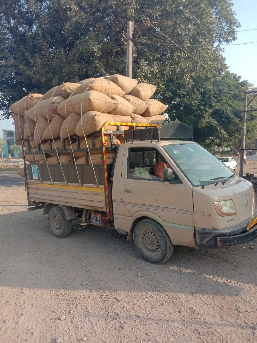 થંબનેલ 2