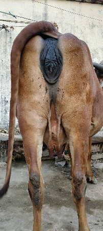 થંબનેલ 3