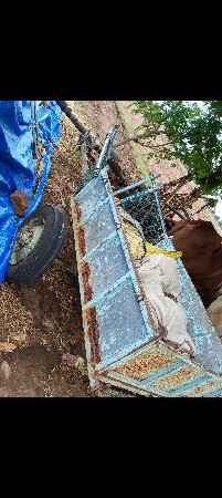 બળદ ગાડું વેશવાનું છે.