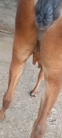 थंबनेल 2