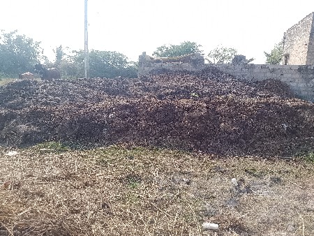 શીસકનોદાખલો