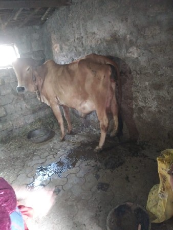 थंबनेल 2