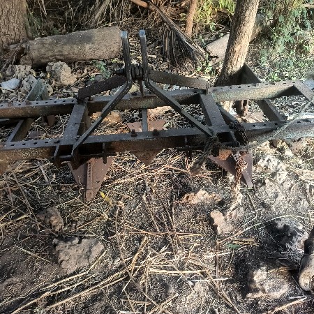 થંબનેલ 2