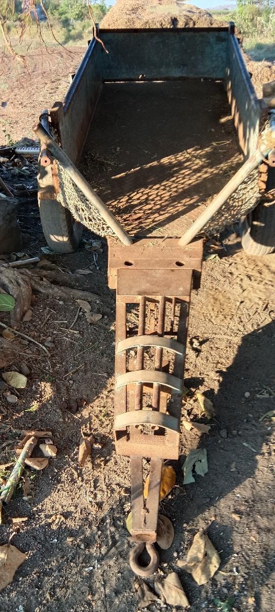 ઝાડુ વેસવાનૂસે