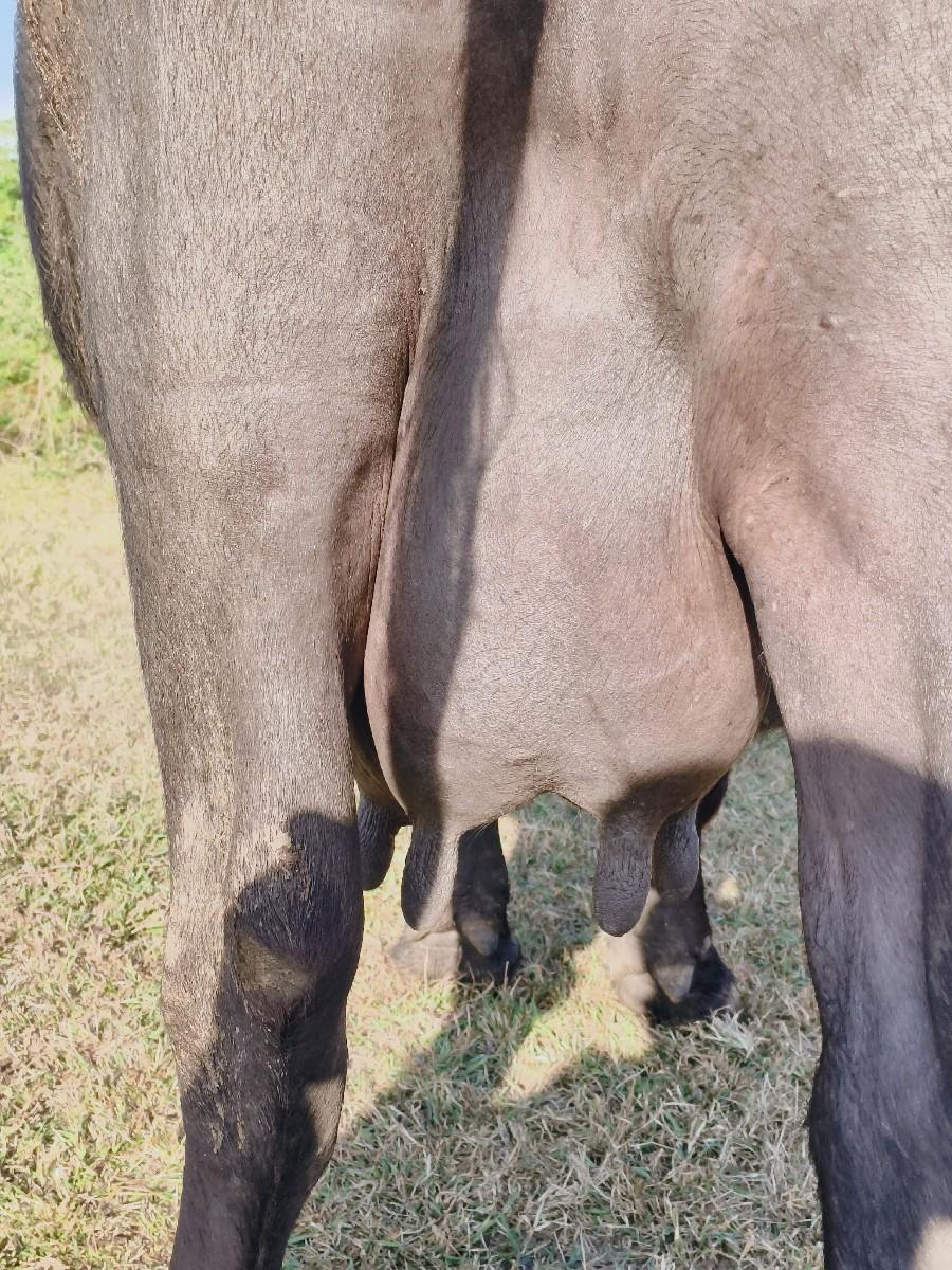 थंबनेल 2