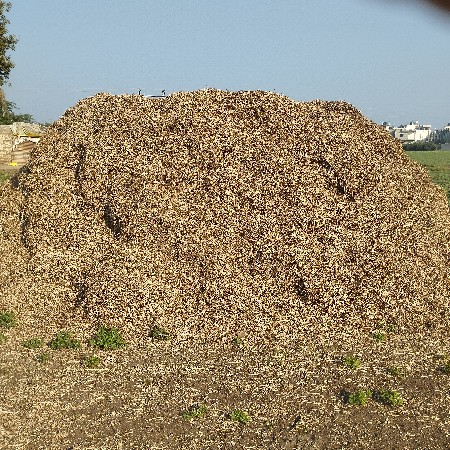 માડવિનૈ પાલૈ39નૈ