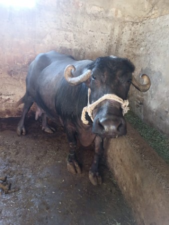 થંબનેલ 2