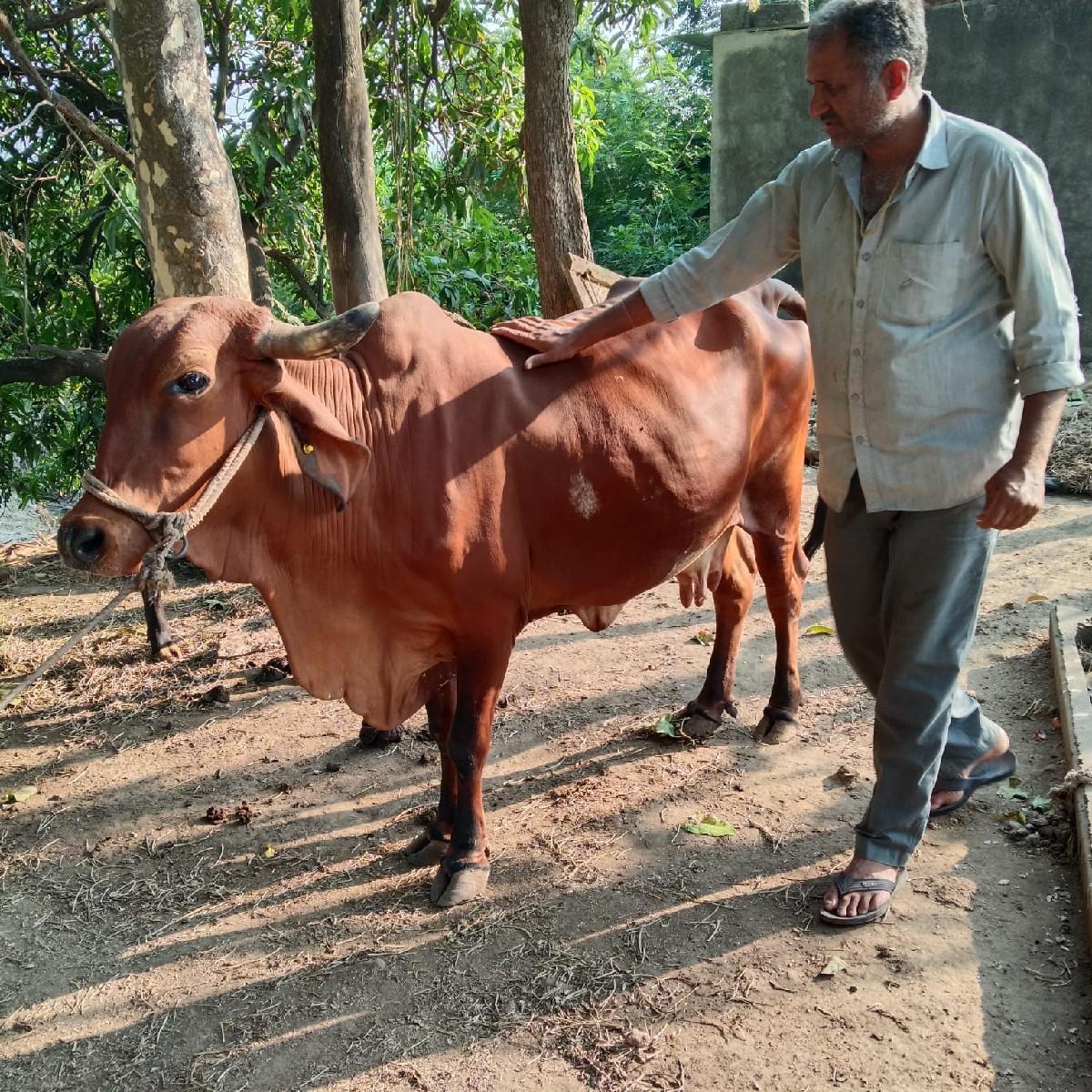 थंबनेल 2