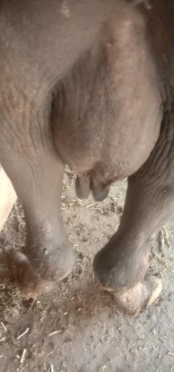 थंबनेल 4