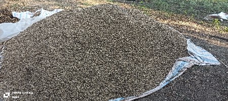 જી 20 માંડવી