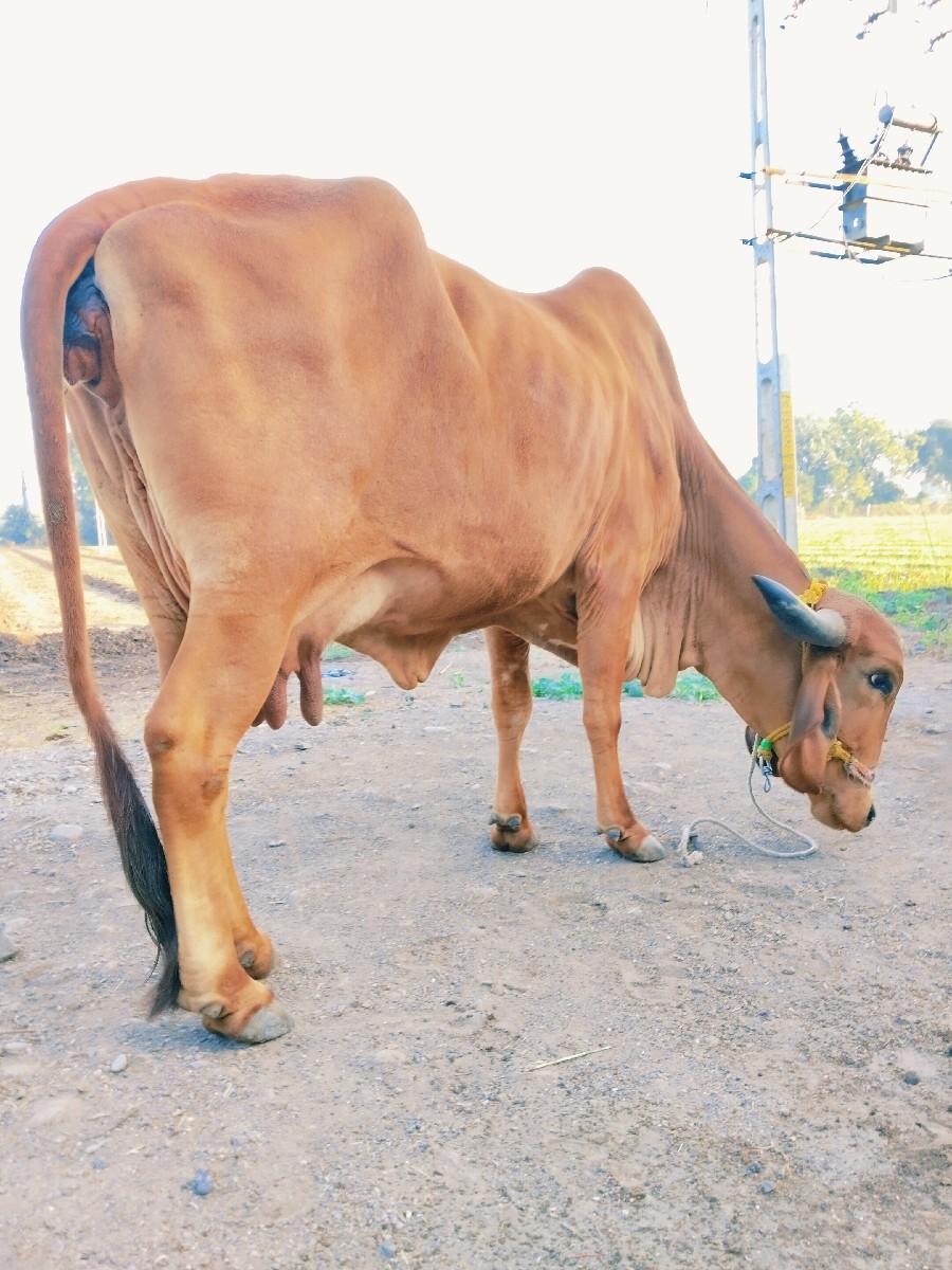 थंबनेल 2