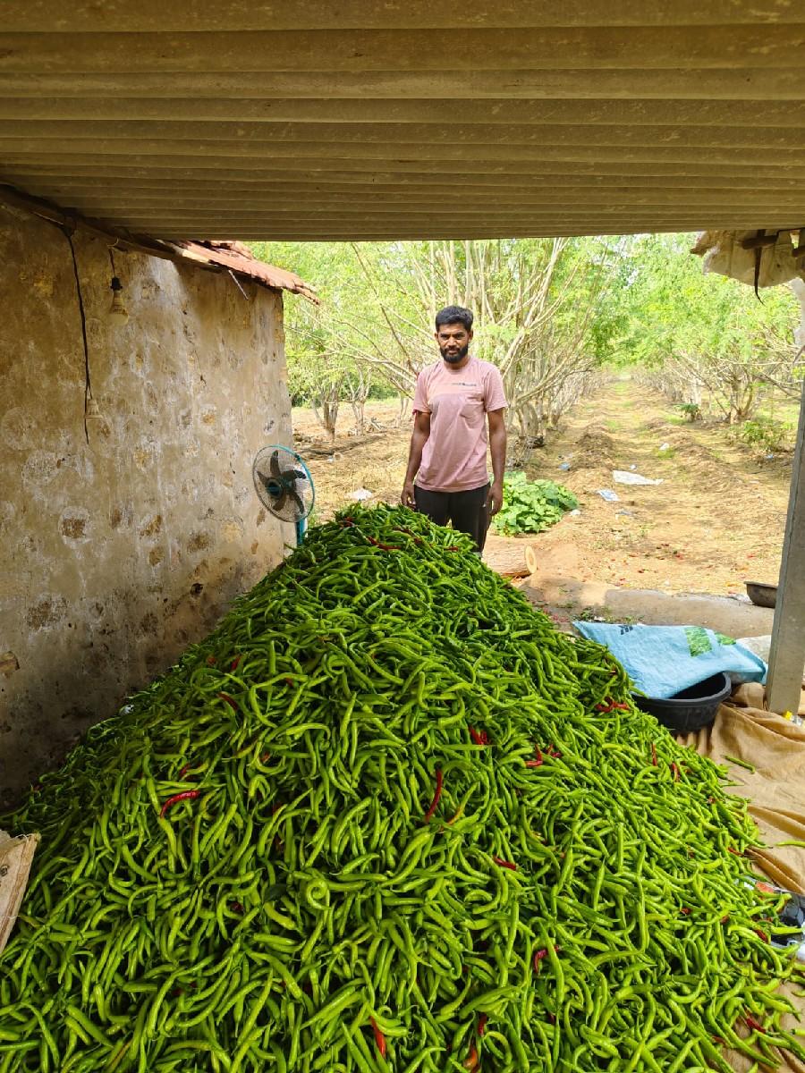 थंबनेल 3