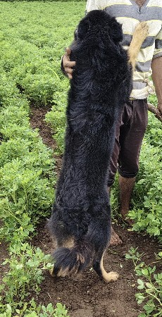 થંબનેલ 2