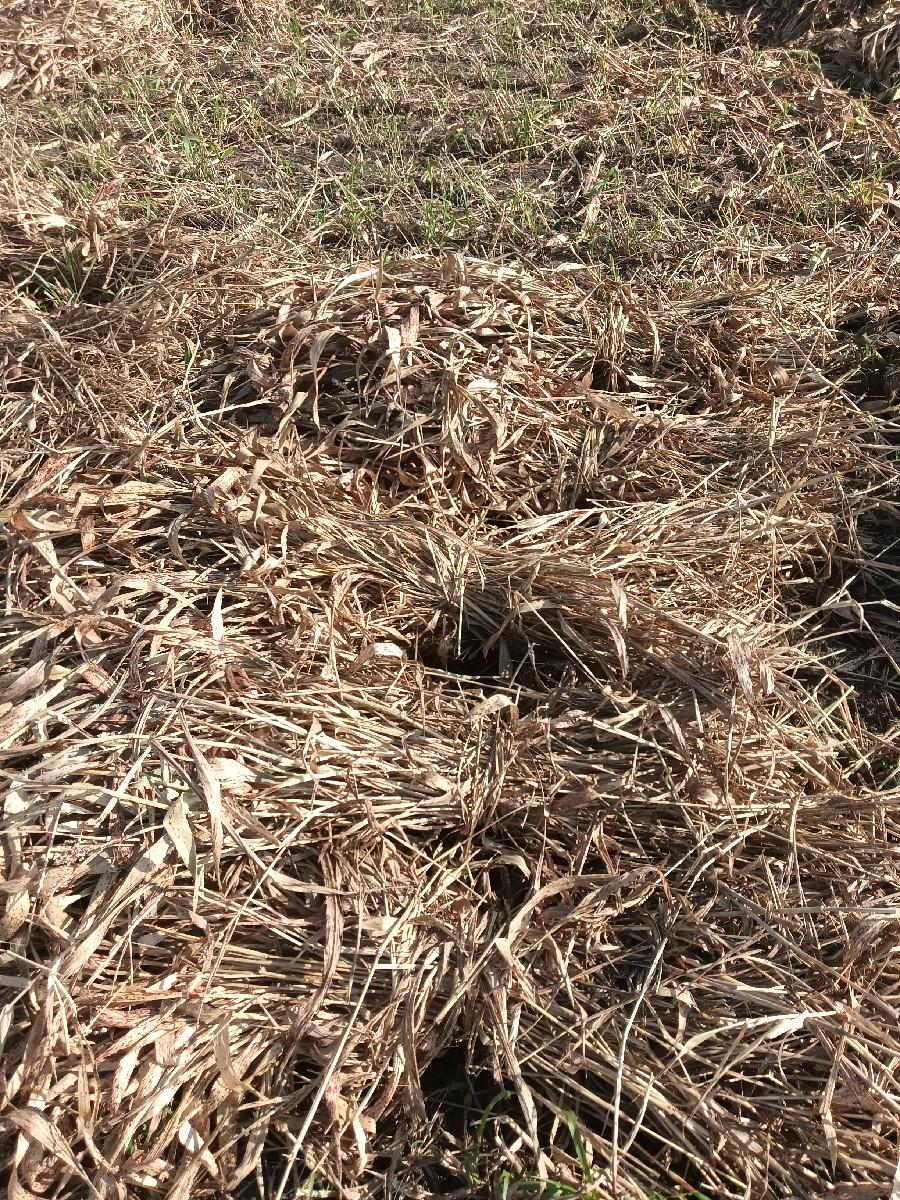 સાર વેચવાની છે સાવ ઝીણી છે