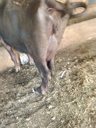 થંબનેલ 3