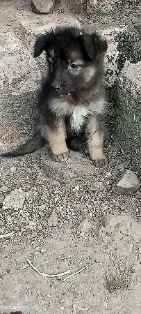 થંબનેલ 3