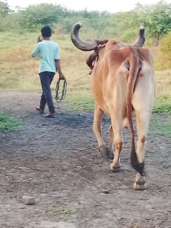 थंबनेल 2