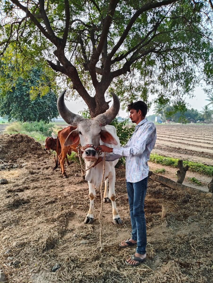 थंबनेल 2