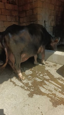 थंबनेल 2