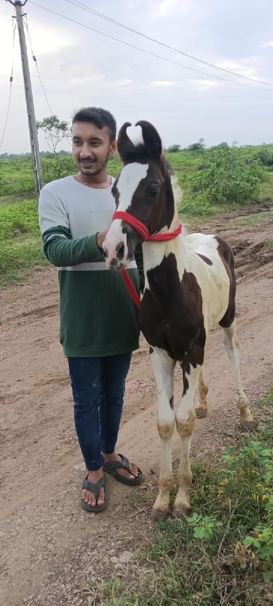 થંબનેલ 2