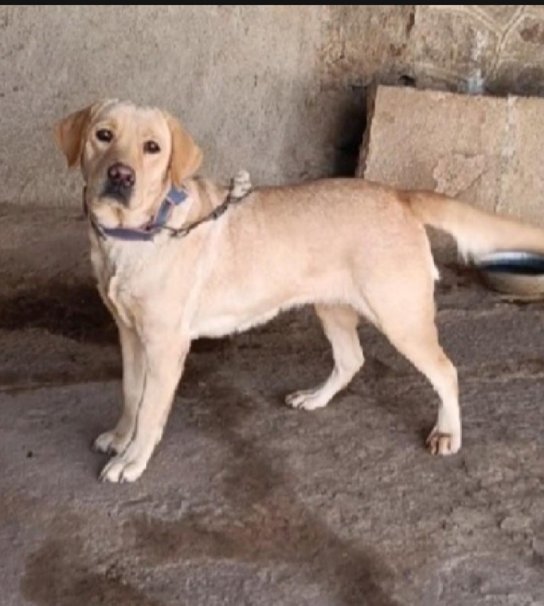 થંબનેલ 3