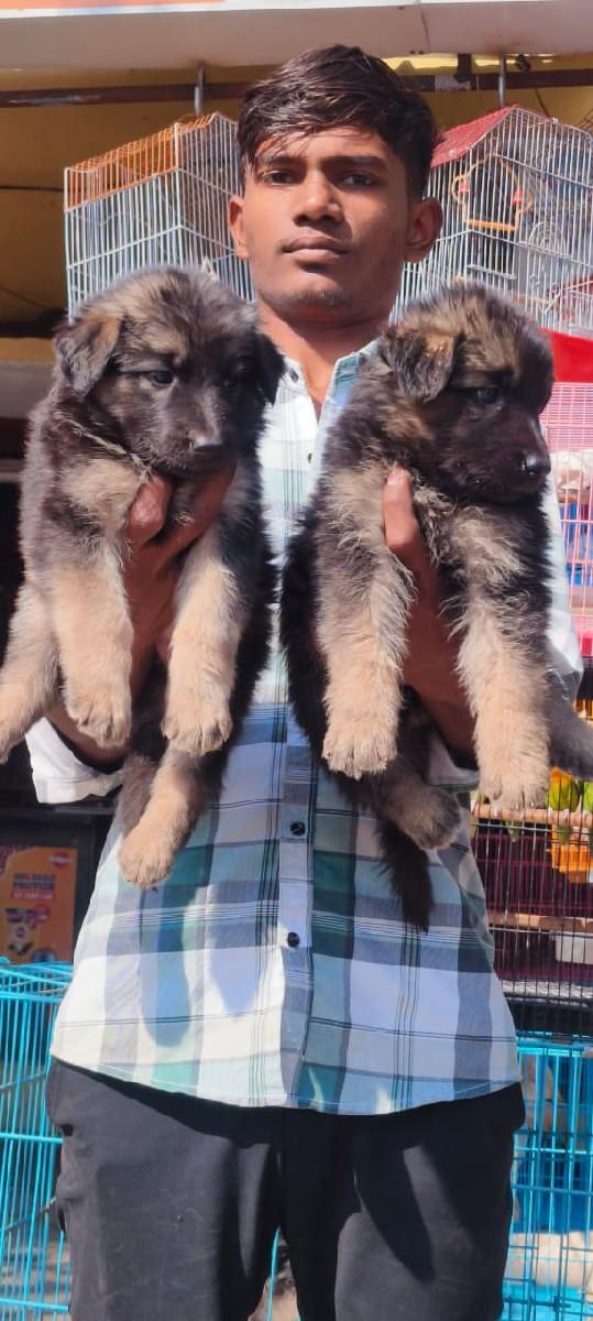 थंबनेल 2