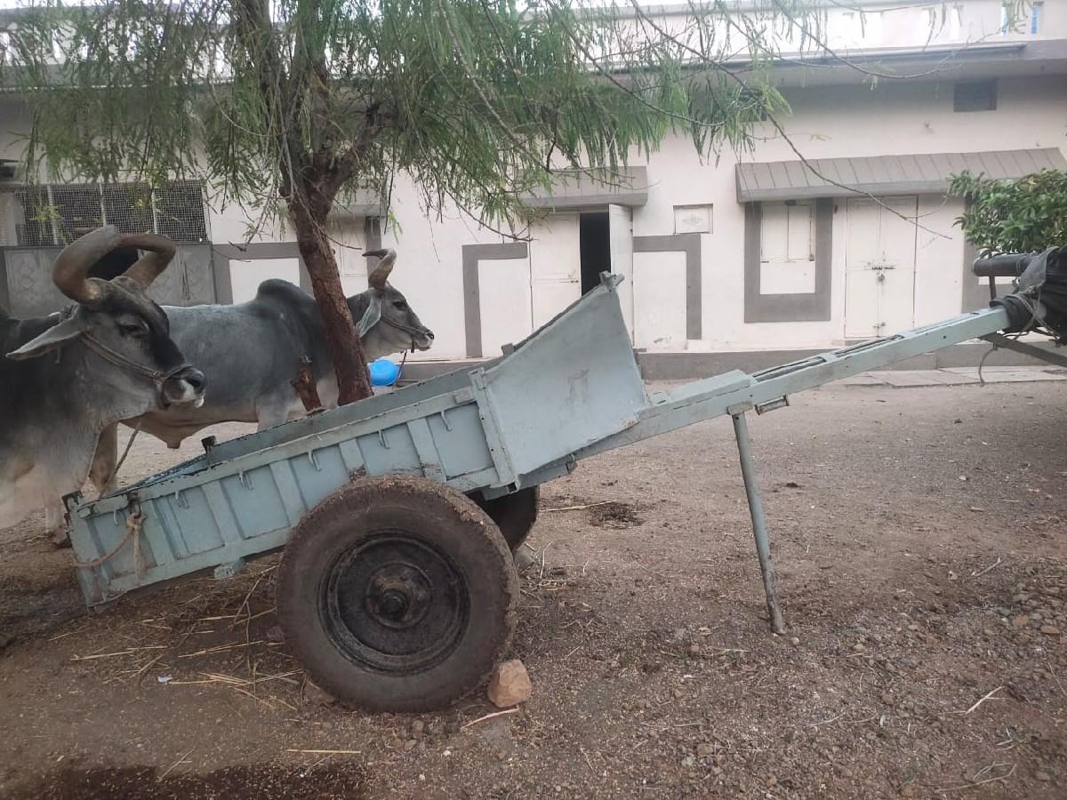 थंबनेल 3