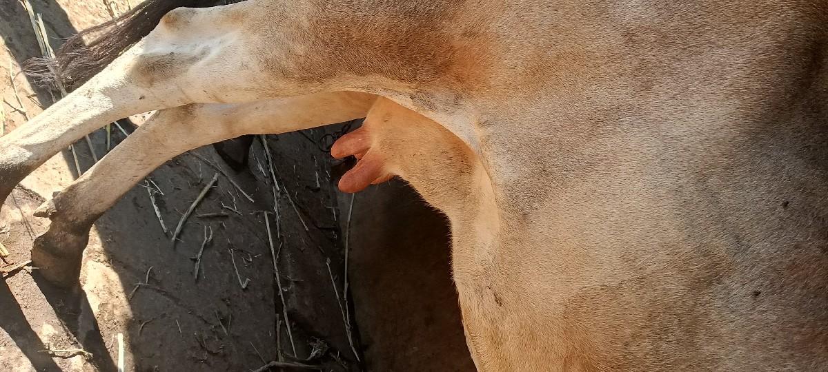 थंबनेल 3