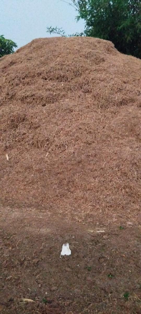 માંડવી નો ચારો વેચવાનો છે.