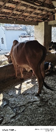 થંબનેલ 3