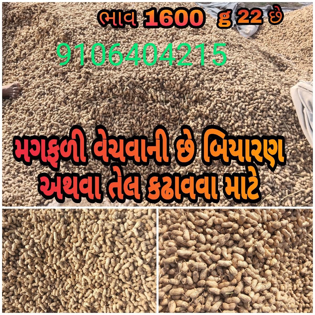 મગફળી વેચવાની છે