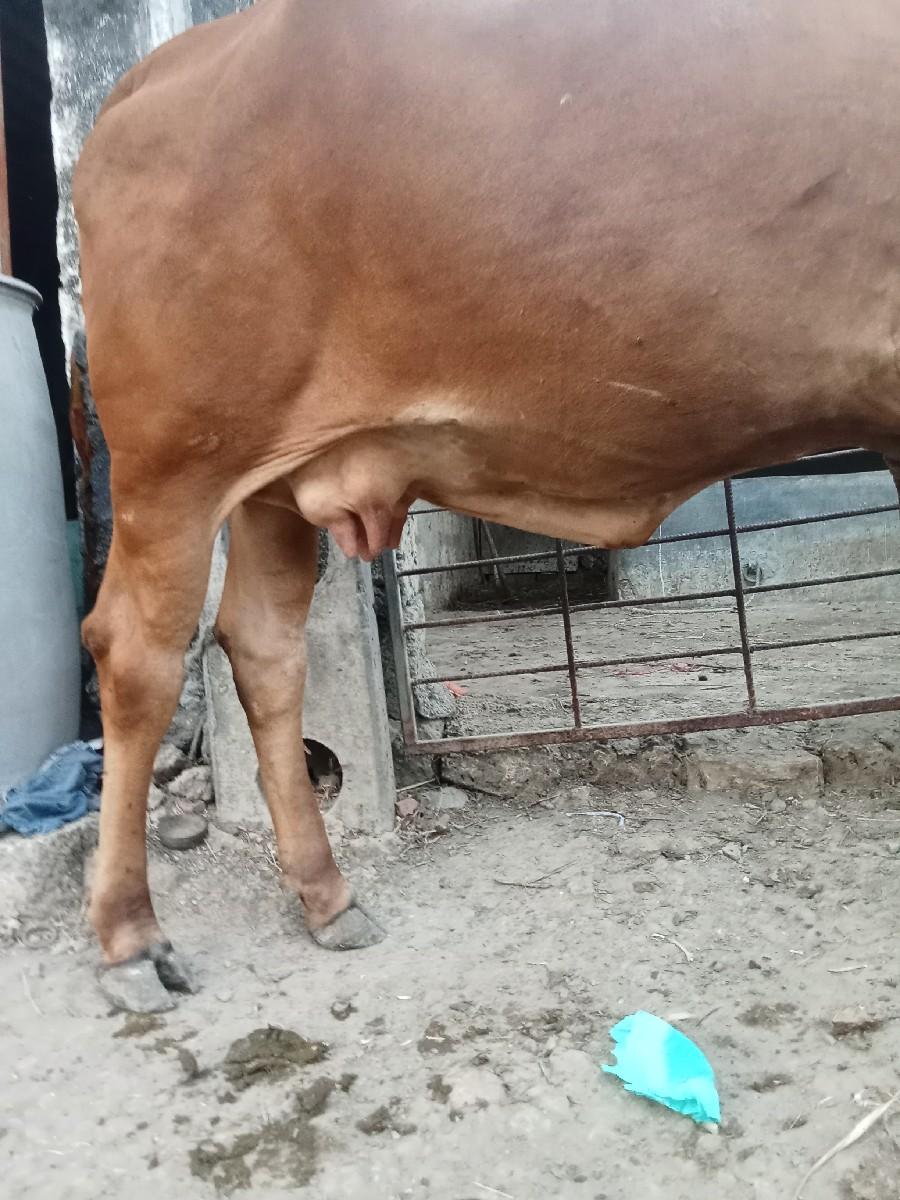 थंबनेल 2