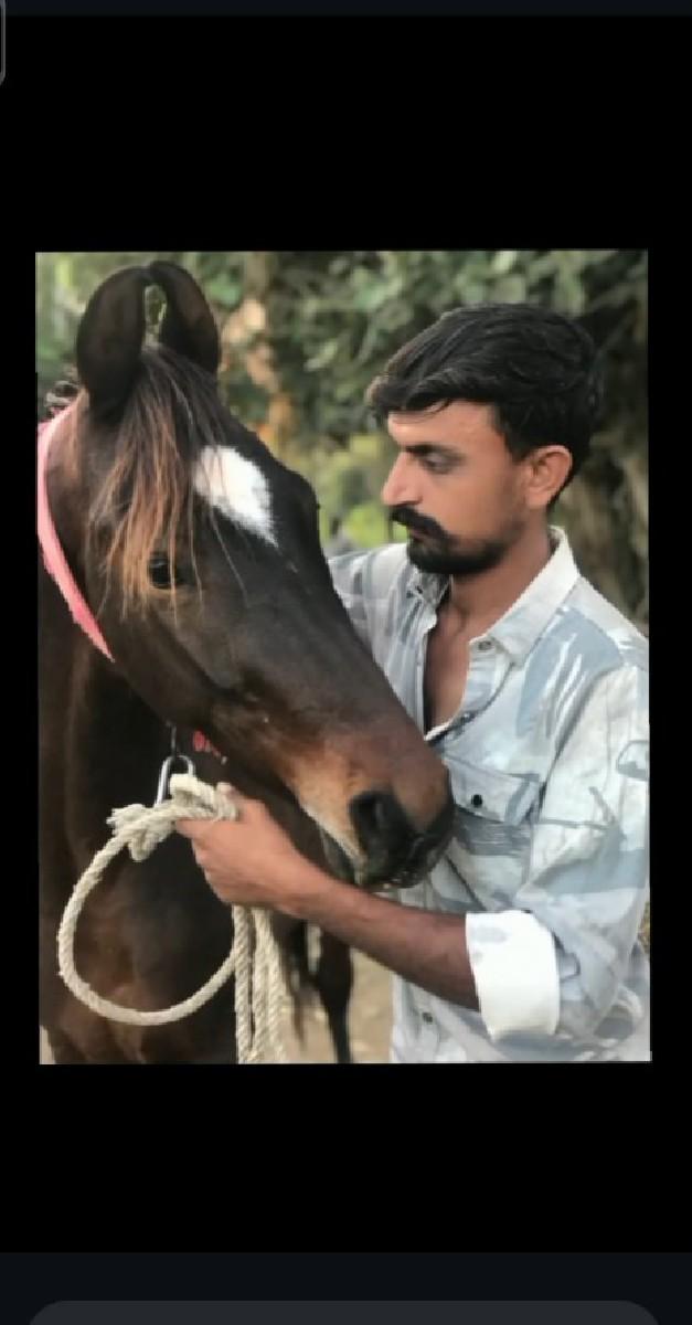 थंबनेल 1