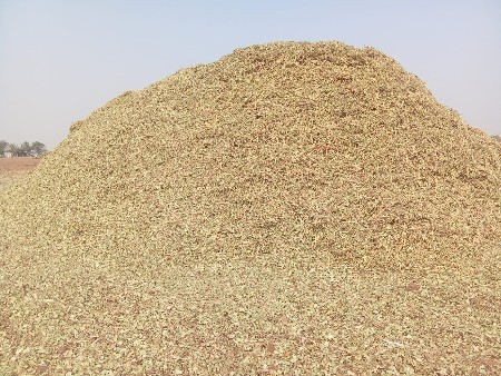 માંડવી નો કોરો ભૂકો વેચવાનો છે