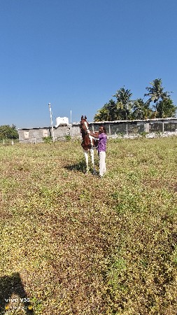 થંબનેલ 3