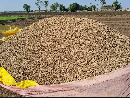 g ૨૦ માંડવી