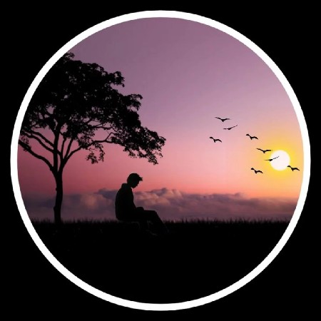 koi bhai ne fancy kabutar vechvana