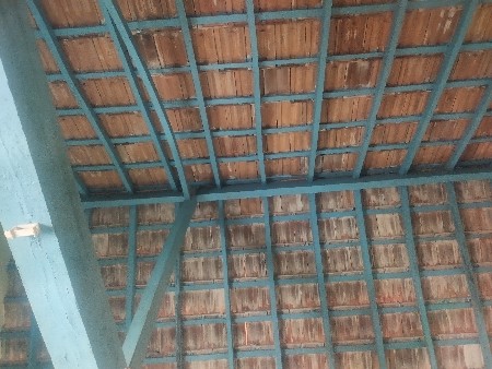 વરણ નરીયા