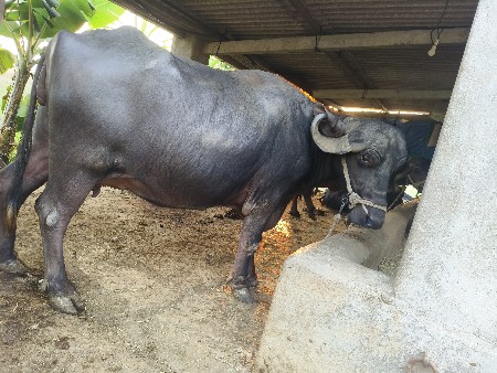 થંબનેલ 2