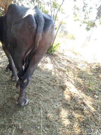 થંબનેલ 3