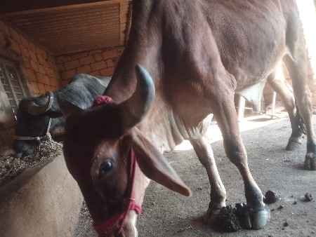 થંબનેલ 3