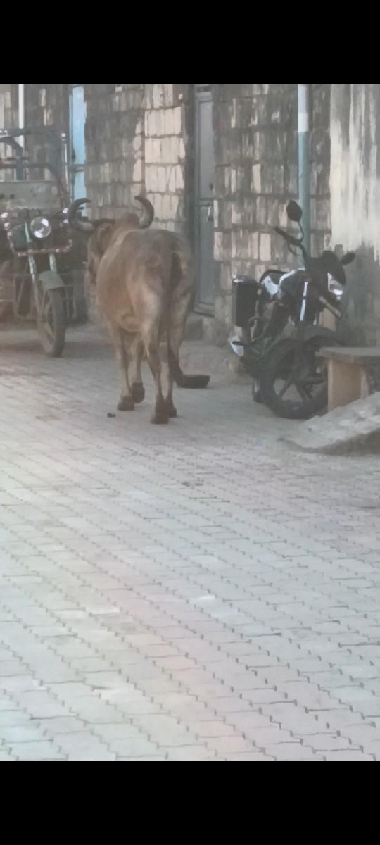 थंबनेल 2