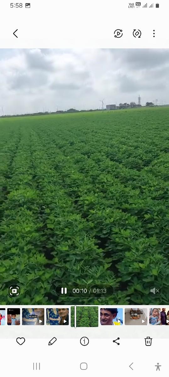 ખેતીલાયક.જમીન