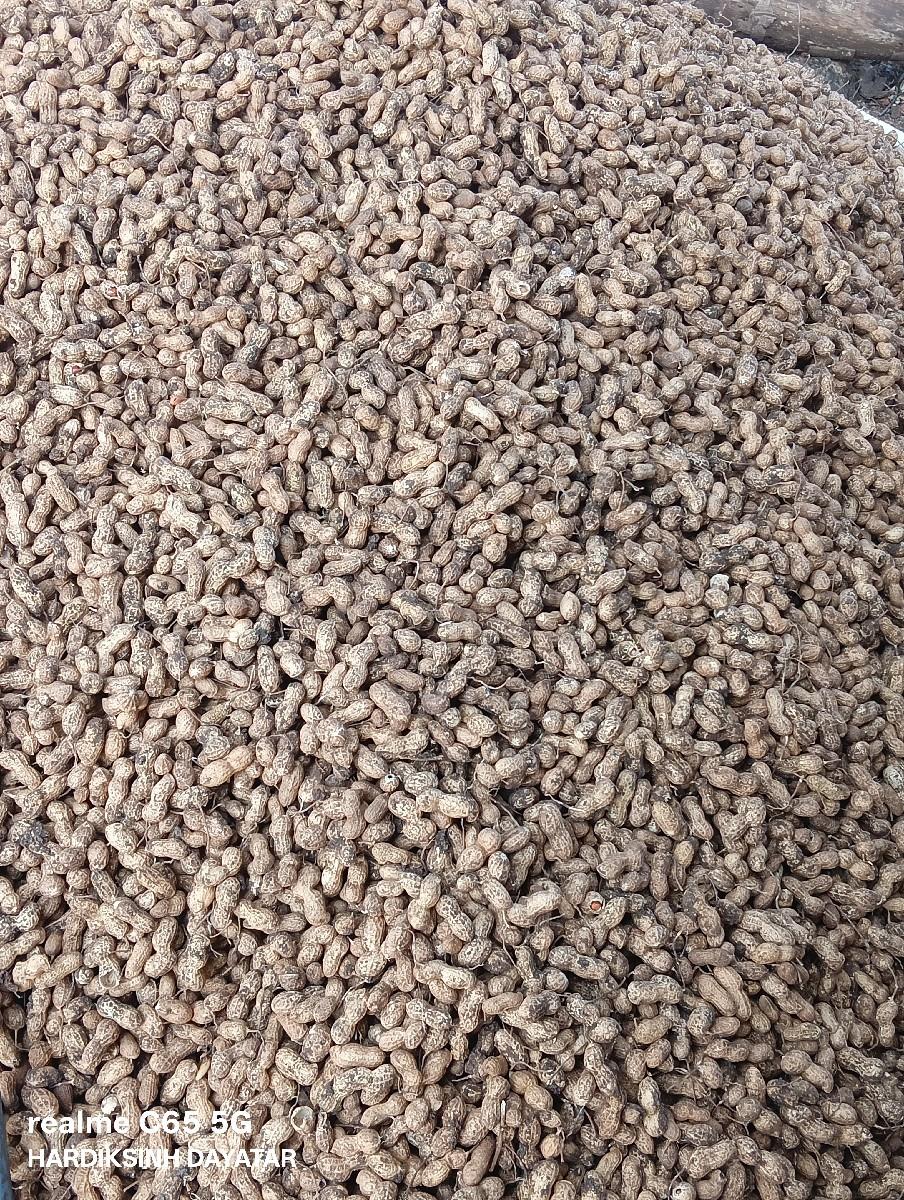 39 માંડવી