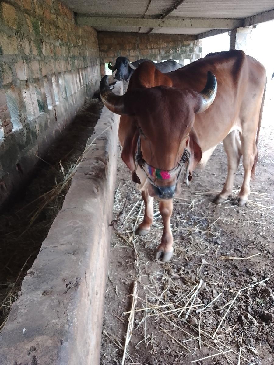 थंबनेल 2