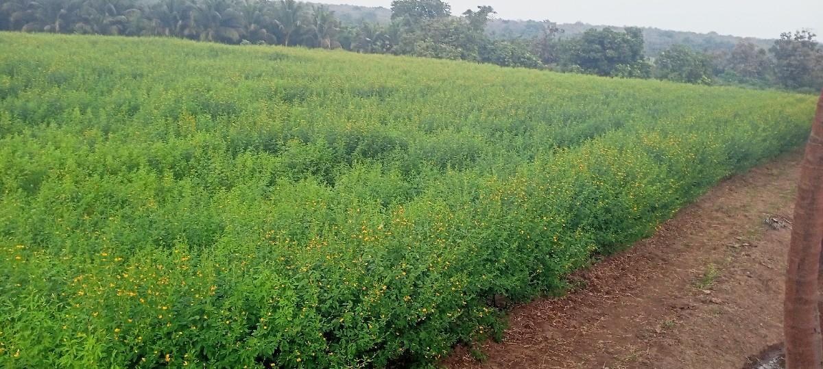 थंबनेल 3